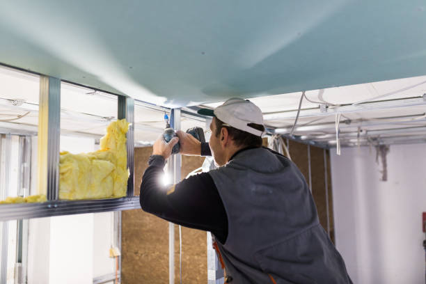 Best Blown-in Insulation  in Maysville, NC