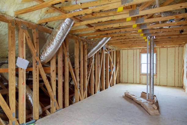 Insulation Inspection Services in Maysville, NC