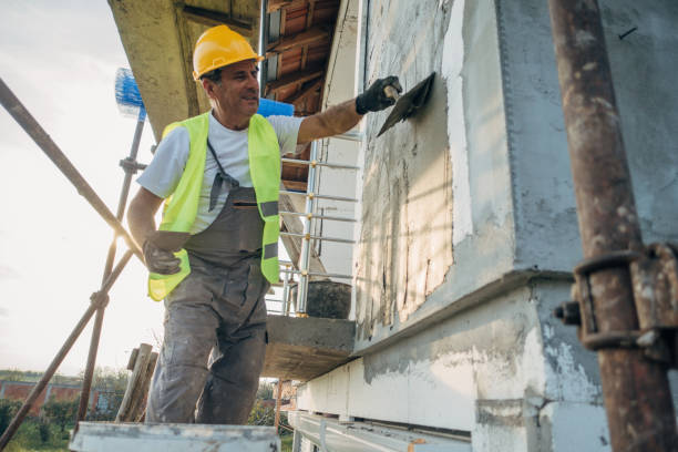 Best Local Insulation Services  in Maysville, NC