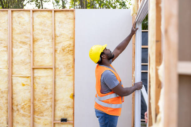 Best Professional Insulation Contractor  in Maysville, NC