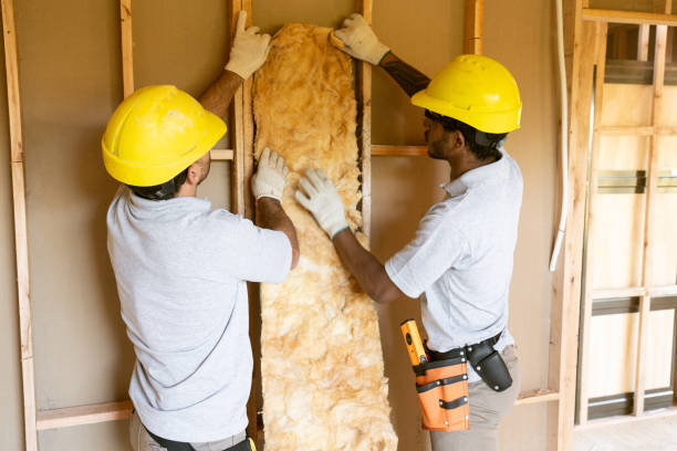 Best Insulation Removal  in Maysville, NC