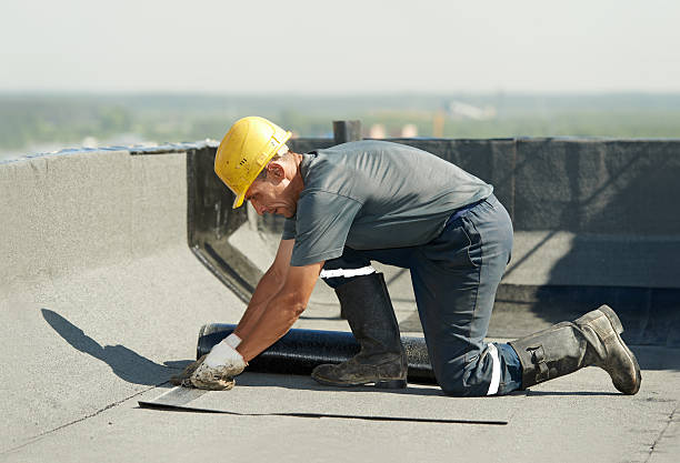 Best Fiberglass Insulation  in Maysville, NC