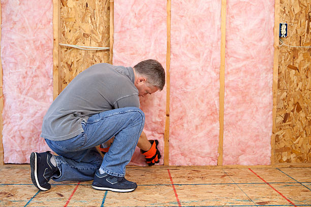 Best Attic Insulation Installation  in Maysville, NC