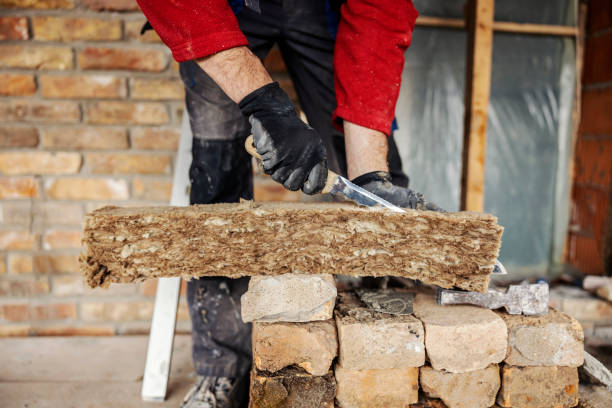Best Insulation Inspection Services  in Maysville, NC