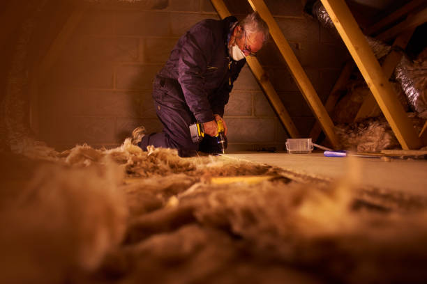 Best Spray Foam Insulation  in Maysville, NC
