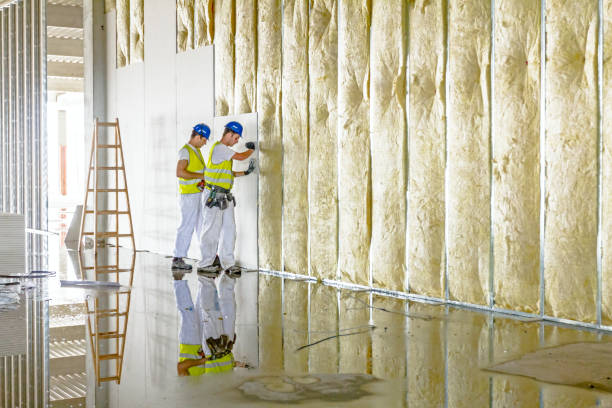 Best Blown-in Insulation  in Maysville, NC